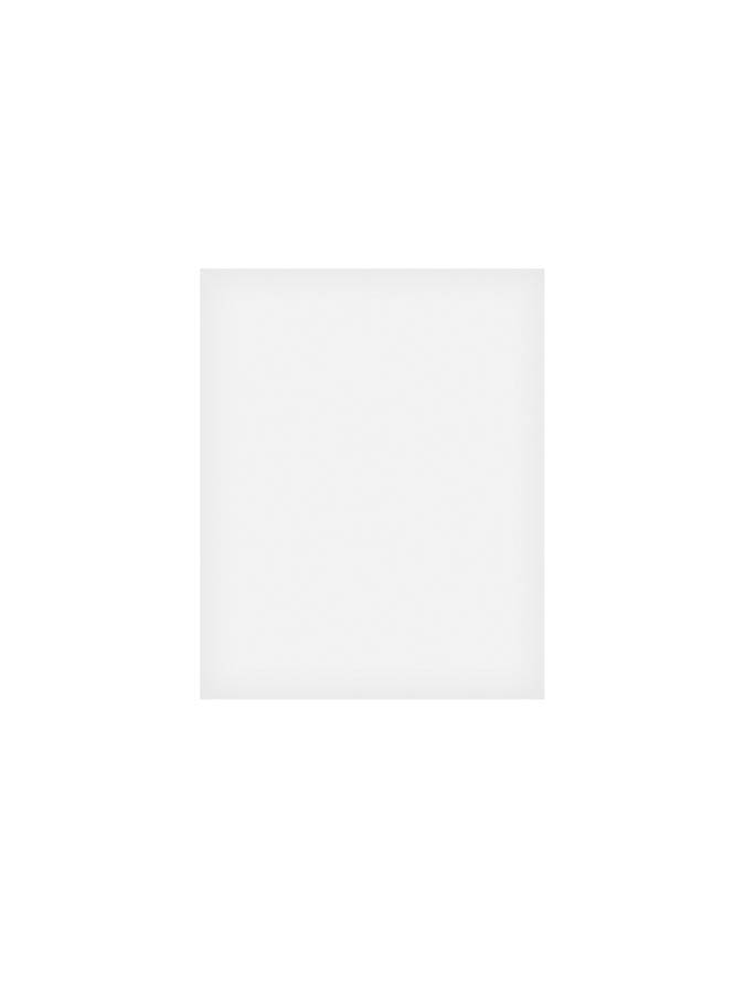 Boston GG-CL Foglio adesivo per battipenna, 20x25cm, transparent
